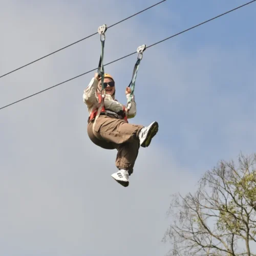 Flyingfox (2) Flyingfox (2)