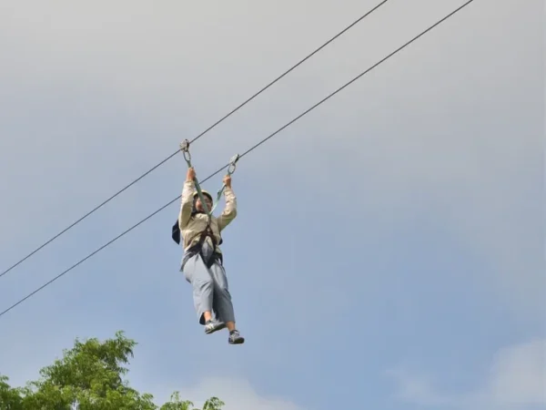 Flyingfox (7)