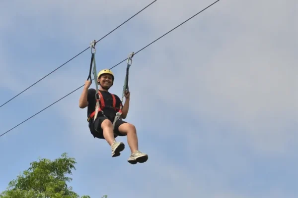 Flyingfox (9)