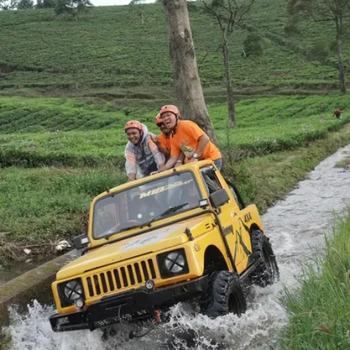 Offroad Jimmny (10) Offroad Jimmny (10)