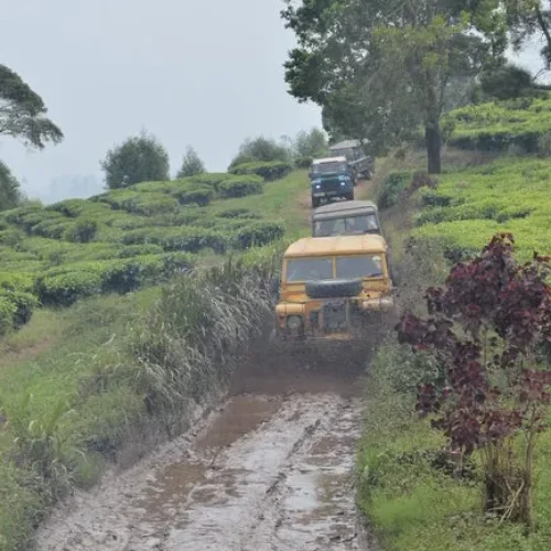 Offroad LandRover (1) Offroad LandRover (1)