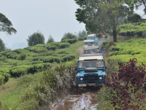 Offroad LandRover (3)